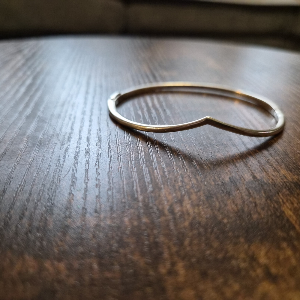 Pandora Bracelet